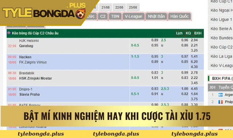 Kèo Tài Xỉu 1.75 - Hướng Dẫn Soi Kèo Chuẩn Cho Người Mới 3 Bật mí kinh nghiệm hay khi cược tài xỉu 1.75