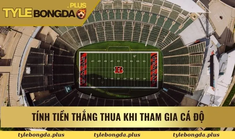 Cách Đọc Kèo Bóng Đá Cùng Những Hình Thức Cược Nổi Bật 3 Hướng dẫn tính tiền khi tham gia cá độ