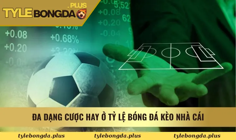 Tỷ Lệ Bóng Đá 27 Đa dạng cược hay ở Tỷ Lệ Bóng Đá Kèo Nhà Cái