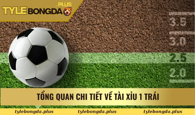 Tài Xỉu 1 Trái Là Gì? Cách Chơi Và Mẹo Thắng Cược Chuẩn Nhất 1 Tổng quan chi tiết về tài xỉu 1 trái