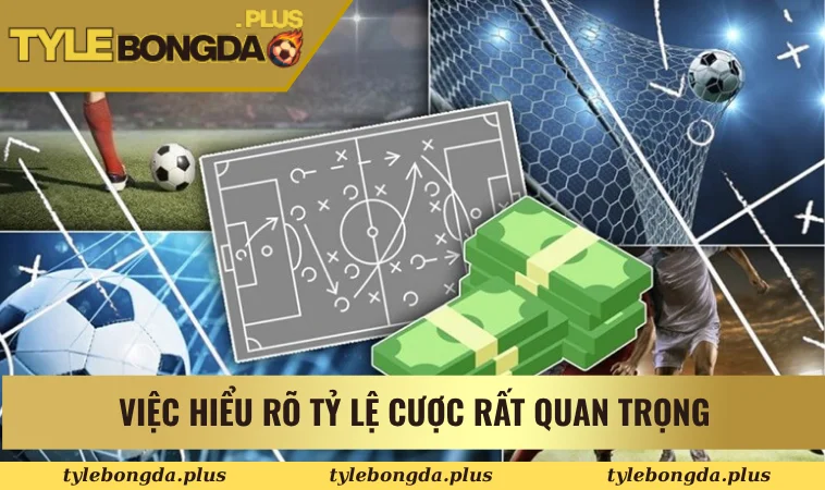 Tài Xỉu 1 Trái Là Gì? Cách Chơi Và Mẹo Thắng Cược Chuẩn Nhất 2 Việc hiểu rõ tỷ lệ cược rất quan trọng